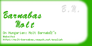 barnabas molt business card